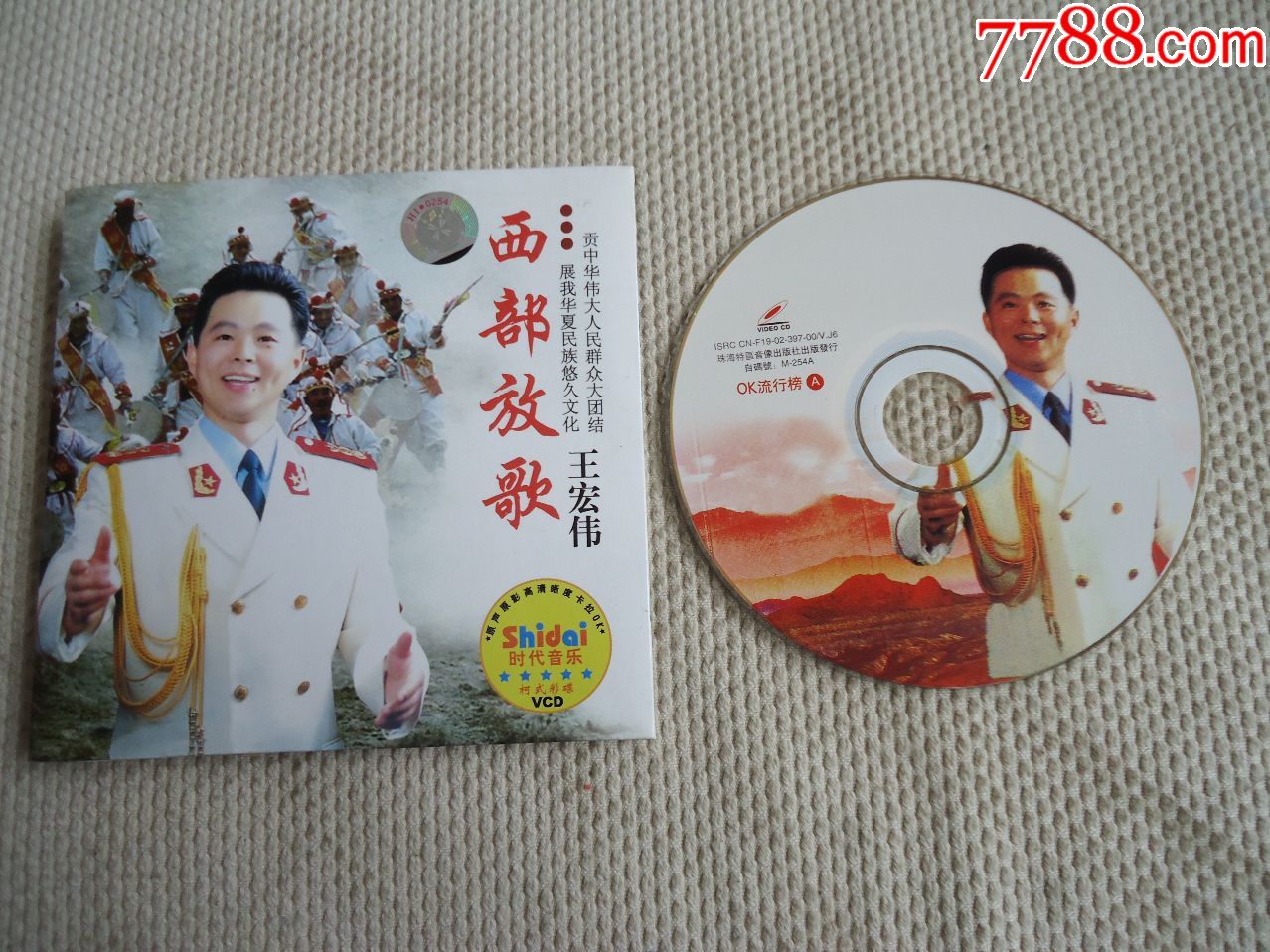王宏伟·西部放歌
