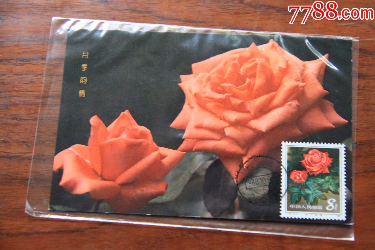 月季花极限明信片