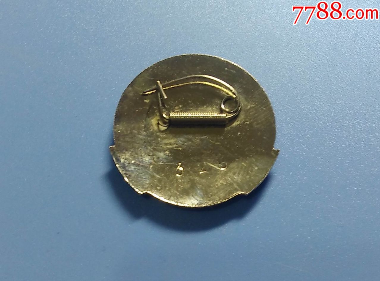 石河子医学院护士学校校徽