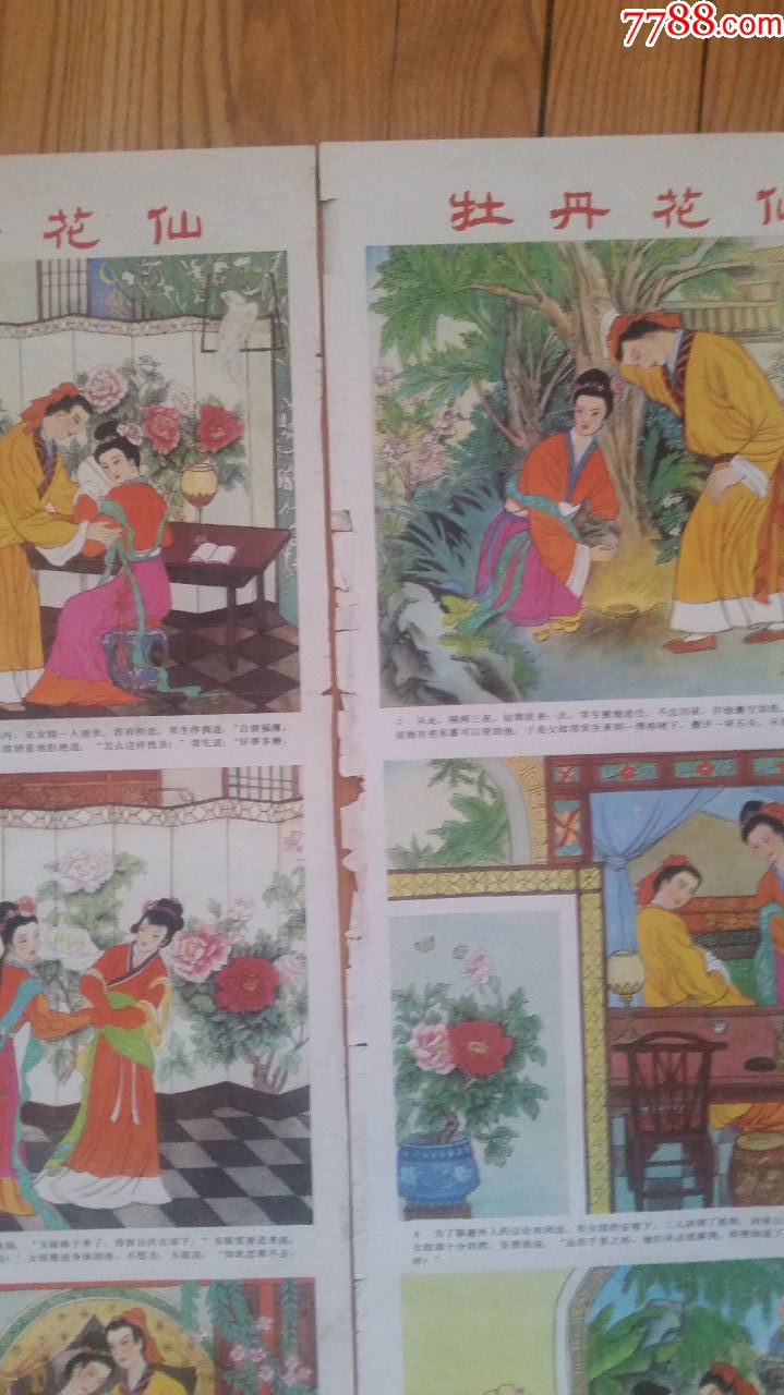 牡丹花仙
