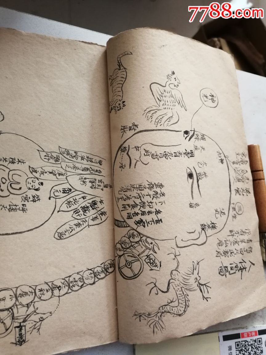 紫阳真人修炼身体心意内力大法[强][强]12页筒子页