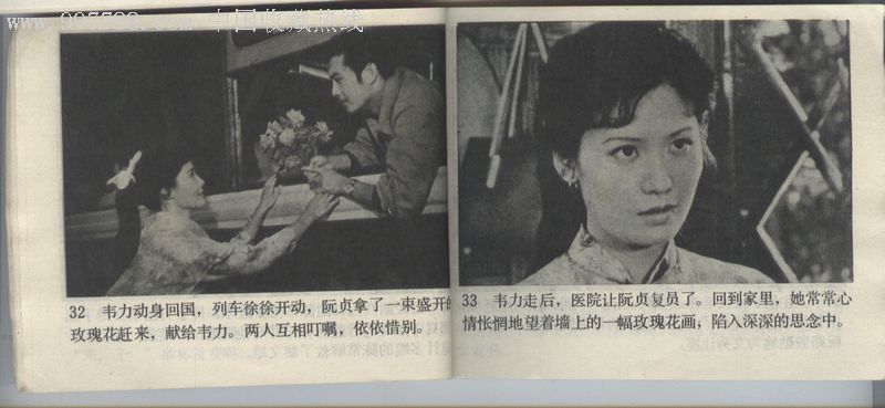 不该凋谢的玫瑰