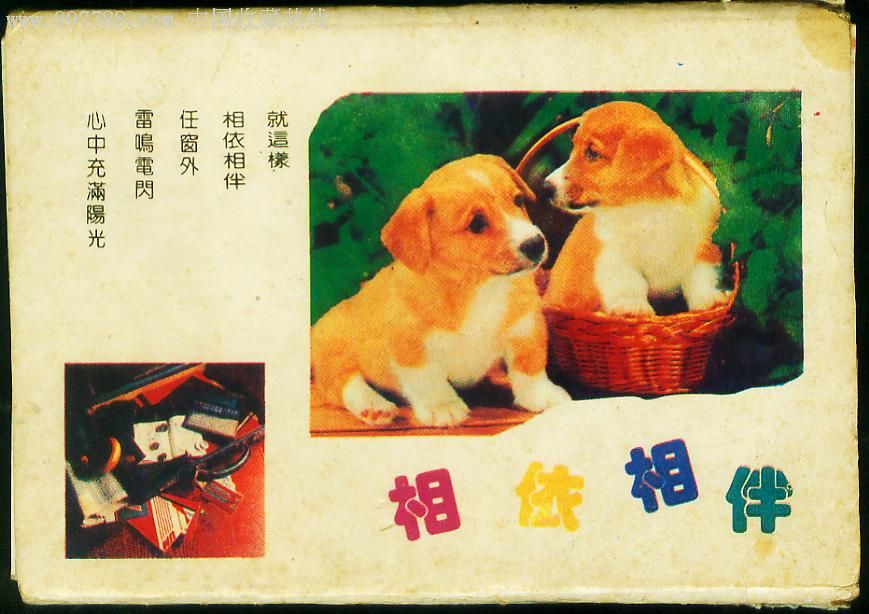 相依相伴,1__8张
