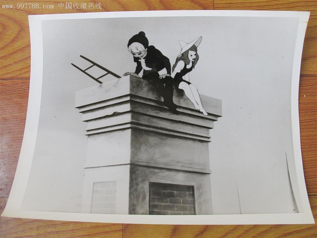 法国动画片照片国王和鸟具体品相看图