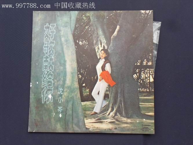 沈小岑——好歌献给你【美品】