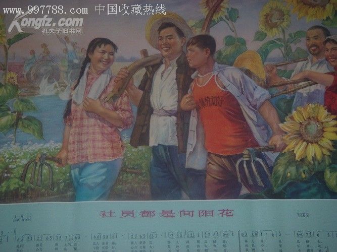 64年宣传画:《社员都是向阳花》.有歌曲的宣传画太少见了