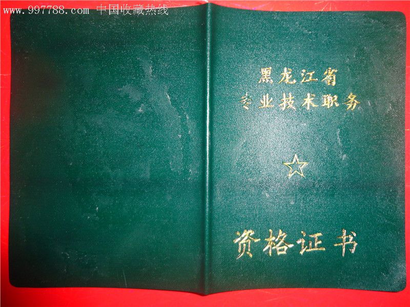 黑龙江省专业技术职务资格证书1994年中级职称证书