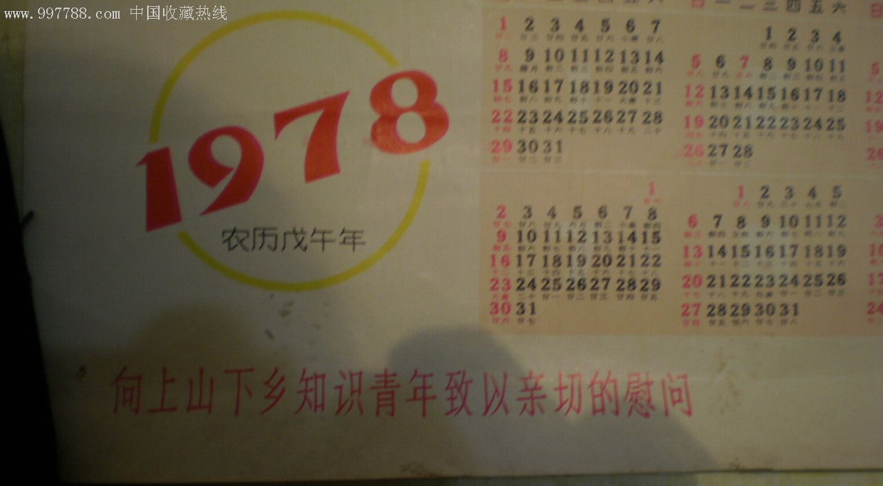 宣传画—1978年慰问上山下乡知识青年.