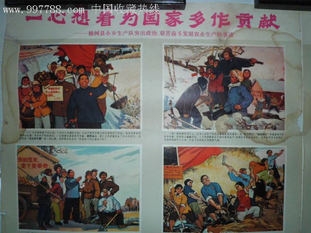 一心想着为国家多做贡献--榆树县小乡生产队突出政治艰苦奋斗发展农业