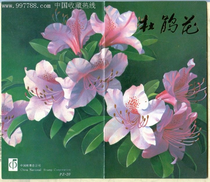 杜鹃花邮折