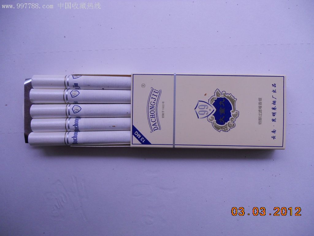 大重九一条