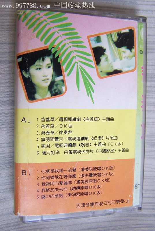 含羞草