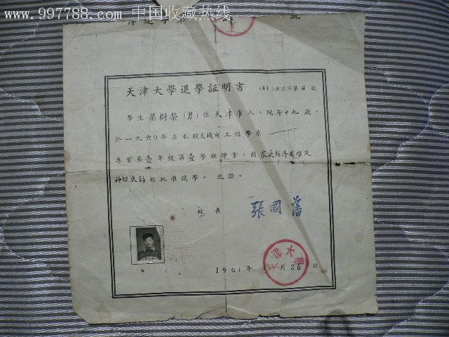 大学学不到什么想退学