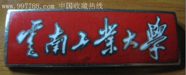 云南工业大学,绝版老校徽,编号1166