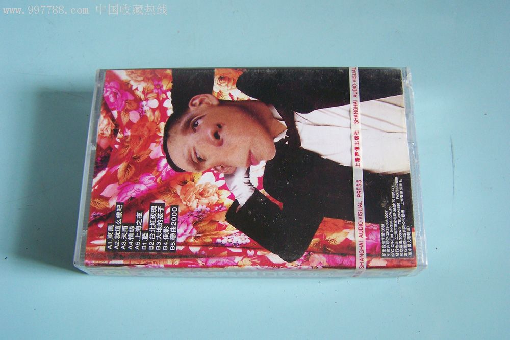 罗大佑,恋曲2000