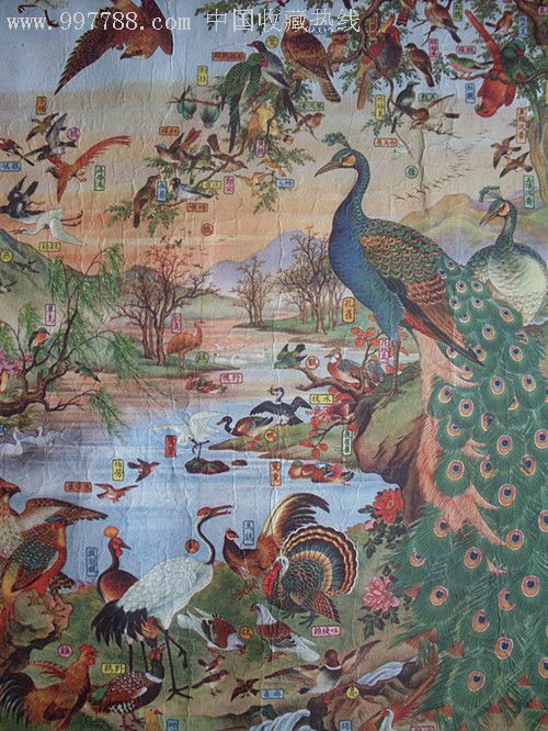 五,六十年代名家花鸟年画展拍《世界百鸟图.殷梓湘.1954》