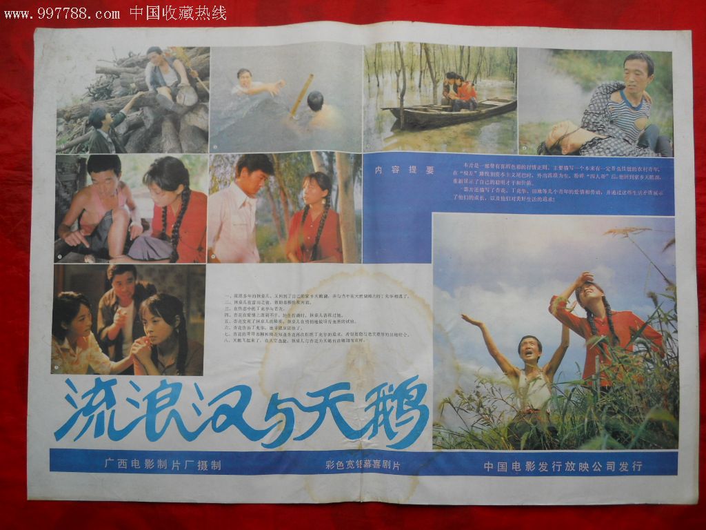 对开电影海报:流浪汉与天鹅(品如图,慎拍!拍后不退不议价!