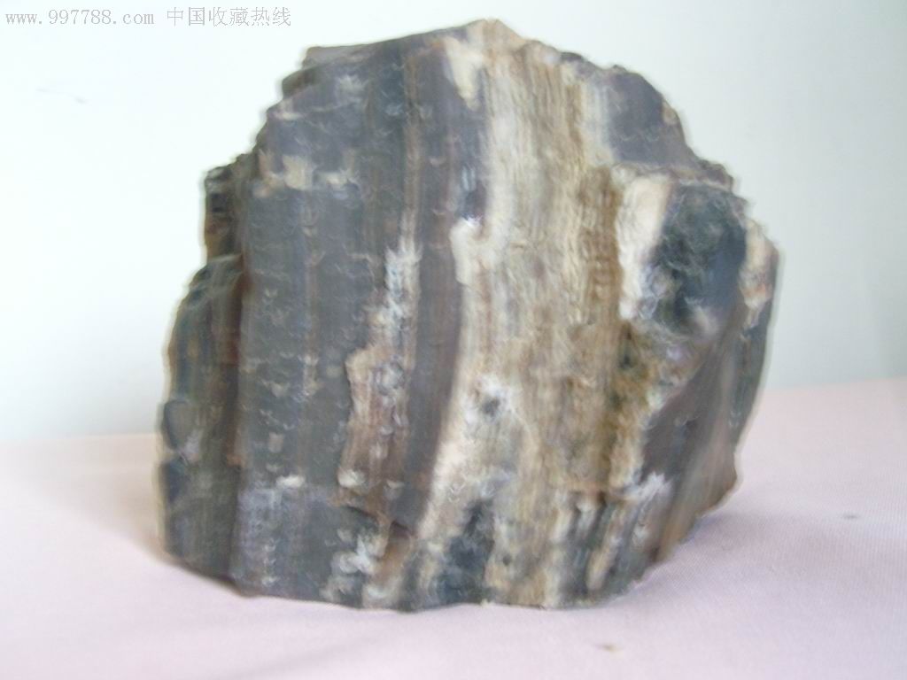 新疆奇台硅化木-硅化木/木化石--au3565314-在线拍卖