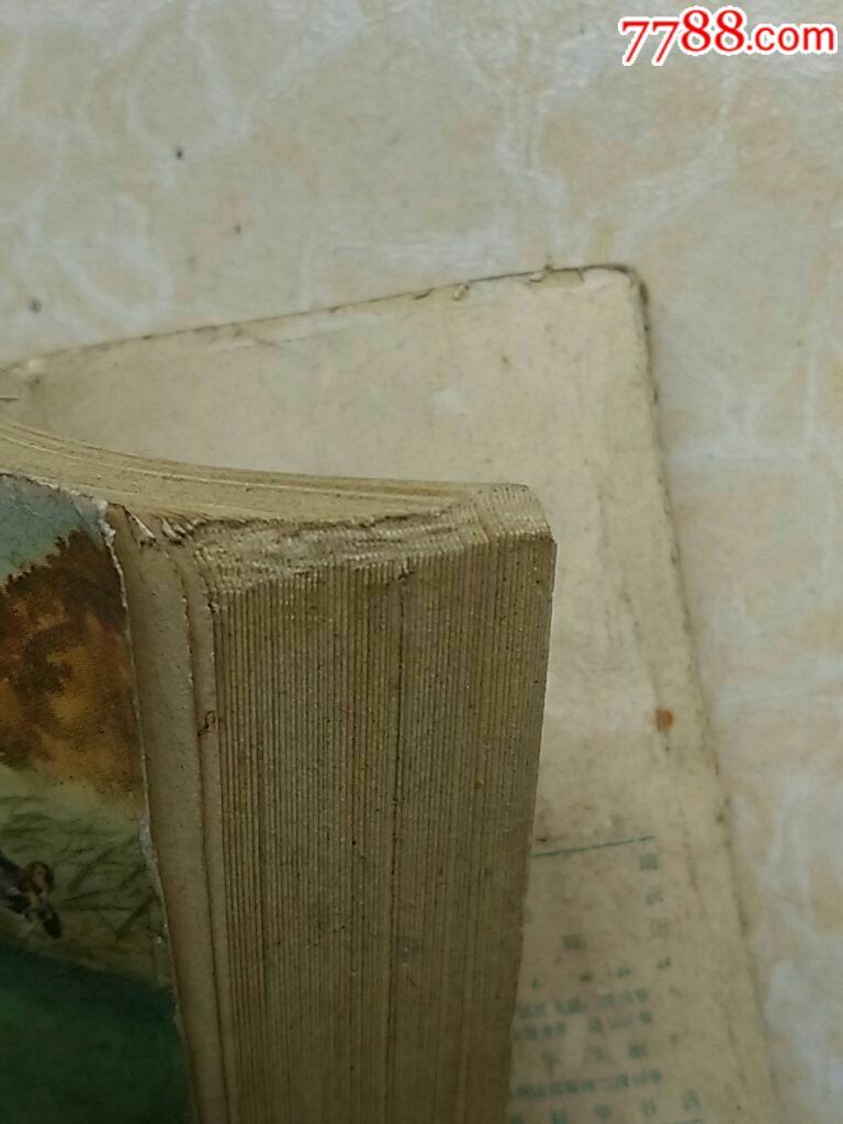 老版连环画《美食体验队》【韩伍,冯吉令绘】粮食巴特采购艺术馆与图片