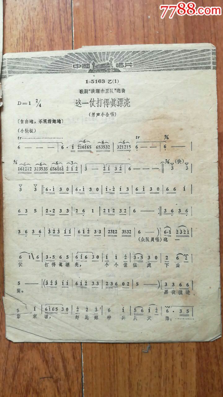 洪湖赤队《这一仗打得真漂亮》