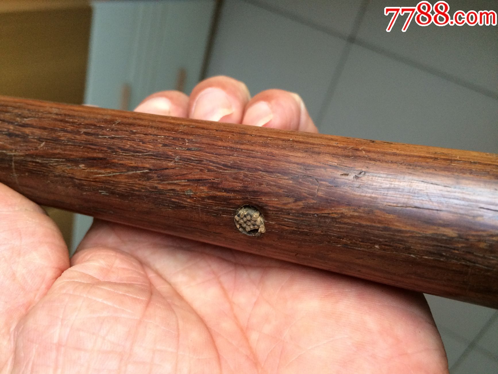海南黄花梨老木钻