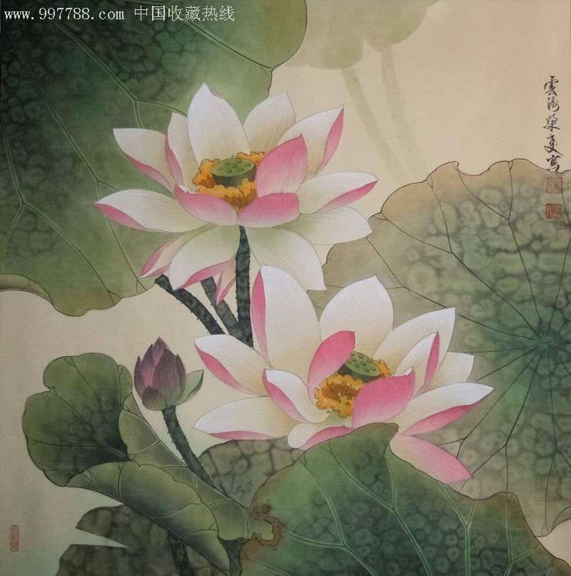工笔国画荷花