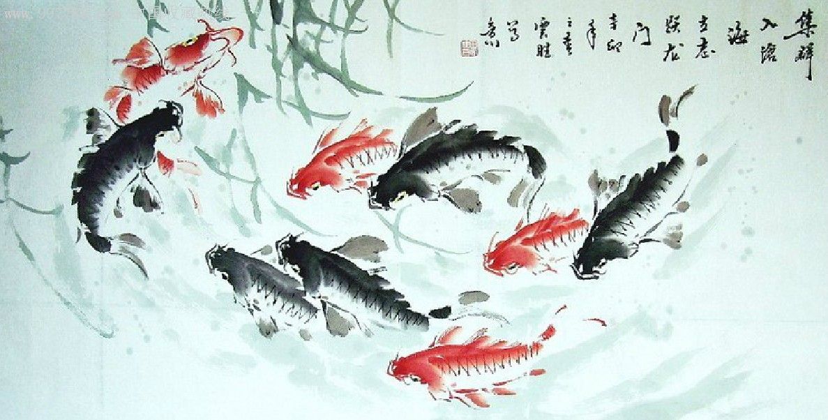 田云胜四尺国画鲤鱼《集群入海》