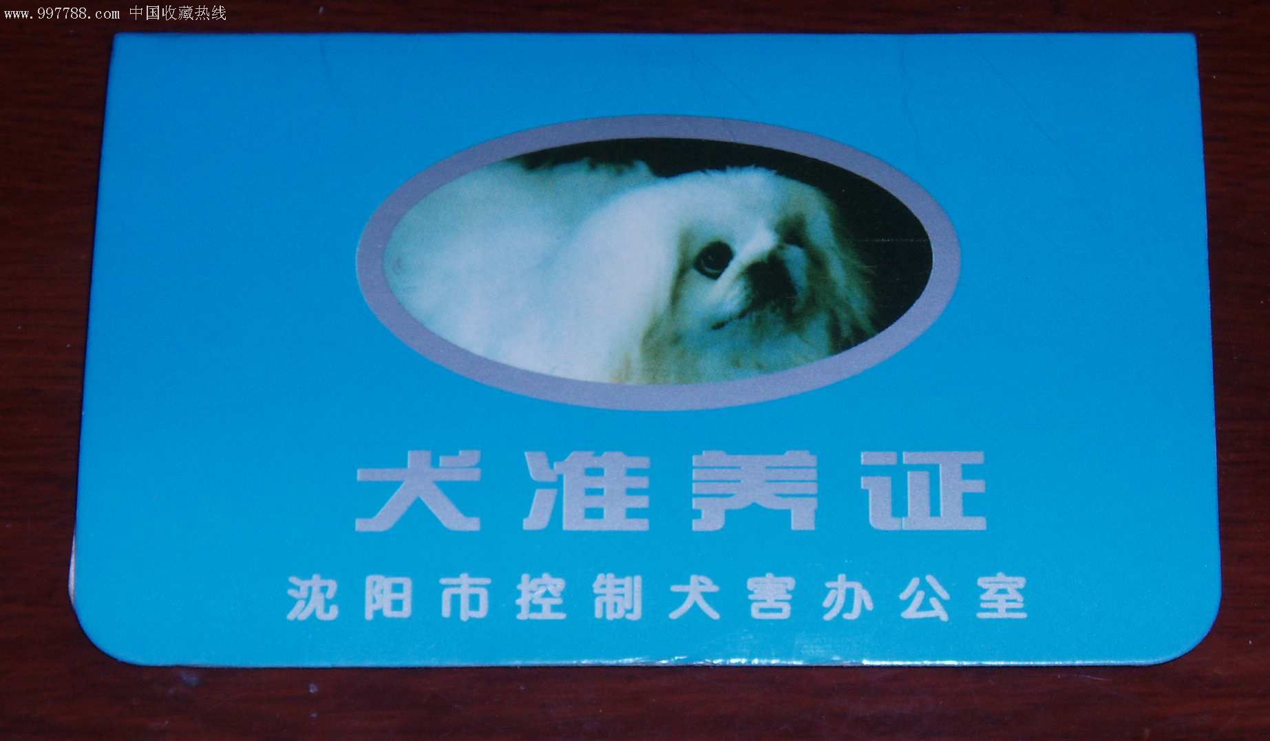 犬准养证沈阳市控制犬害办公室130×80已作废,收藏用