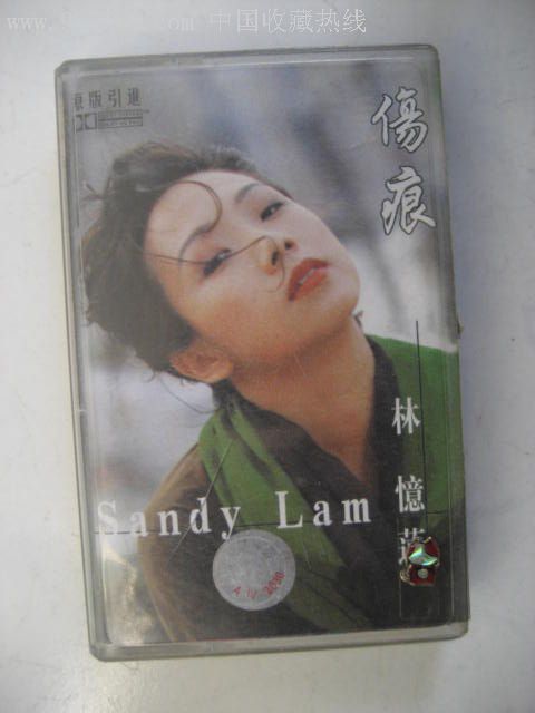 林忆莲  伤痕></p></a>>
