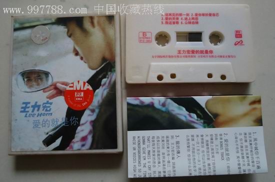 王力宏爱的就是你
