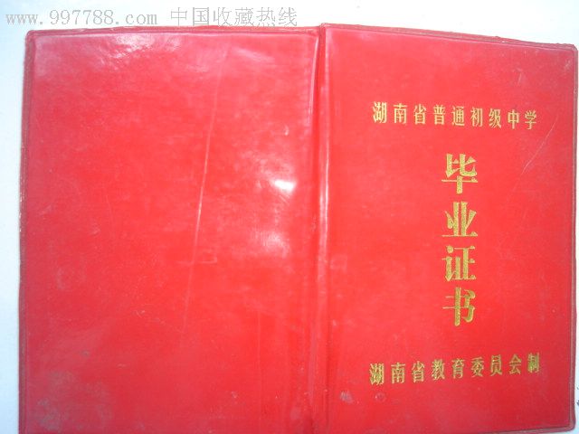 湖南省普通初级中学--毕业证标志毕业小高中图片