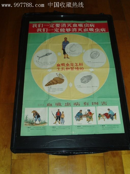 我们一定要消灭血吸虫病[连环画格式绘画]3张对开1套_连环画天地【77