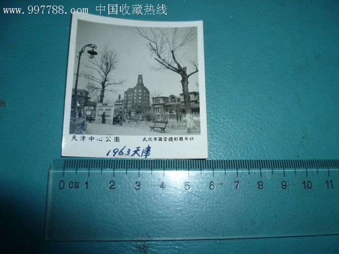 天津中心公园-se8160702-老照片-零售-7788收藏__中国收藏热线