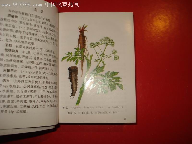 袖珍中草药彩色图片,医书/药书,其他医药书籍,21世纪10年代,60开_第3