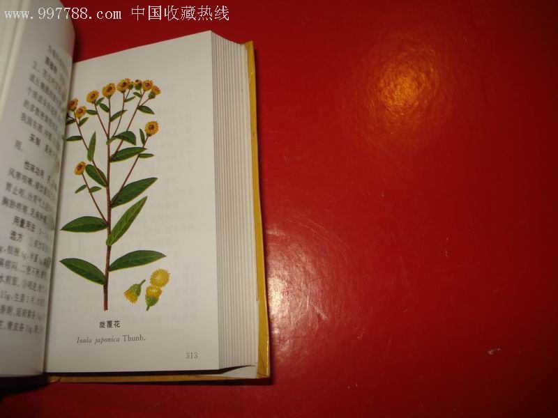袖珍中草药彩色图片,医书/药书,其他医药书籍,21世纪10年代,60开_第5