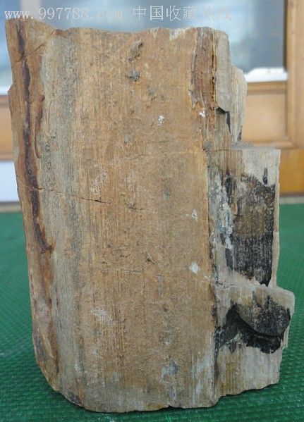 木化石2