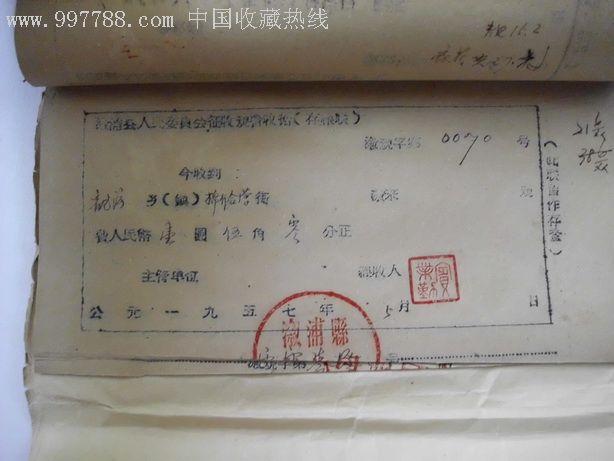 彺収规费收据存根联