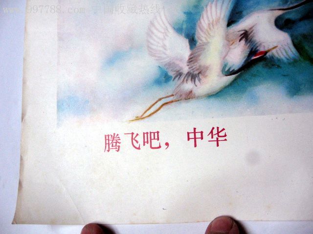 《腾飞吧,中华》辽宁美术出版社(2开,样本)_第3张_7788收藏__中国收藏