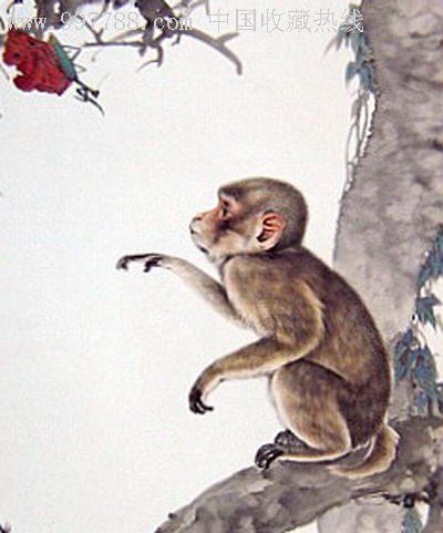 猴子画图片大全大图