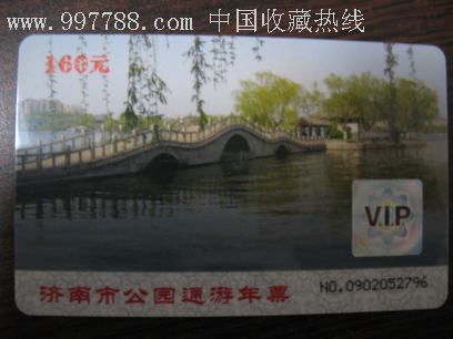 济南市公园通游年票磁卡票2009年