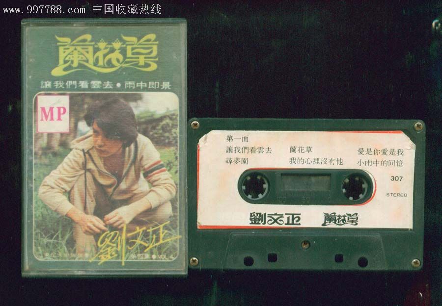 兰花草---刘文正