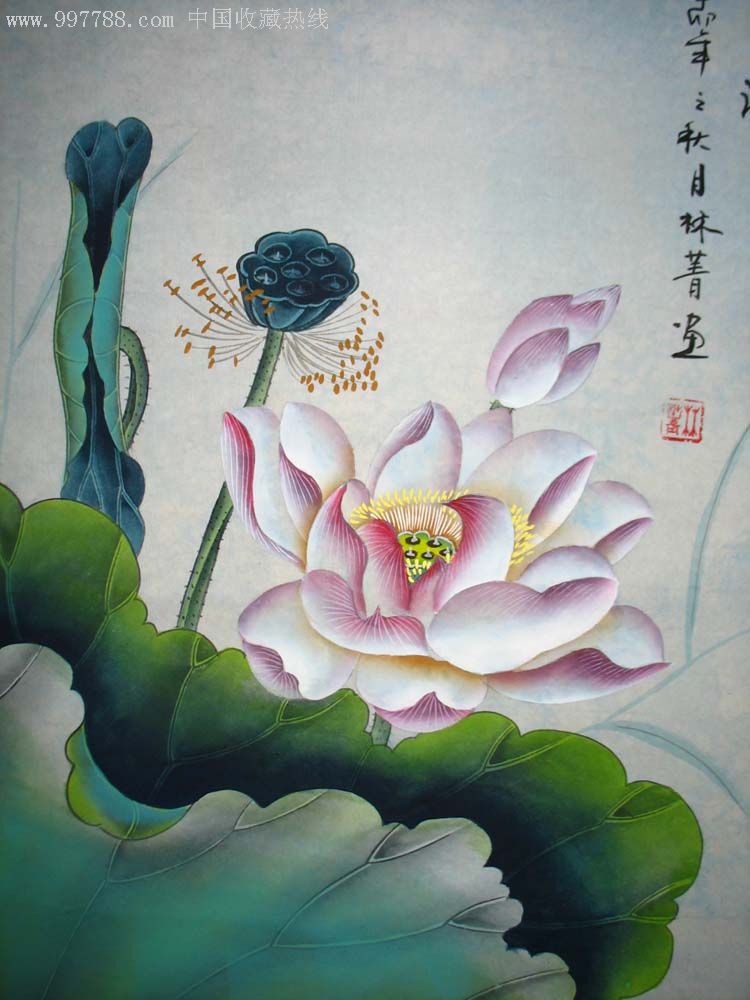 林菁工笔花鸟荷花烟雨芳池0909