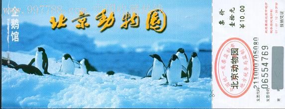 北京动物园-企鹅馆