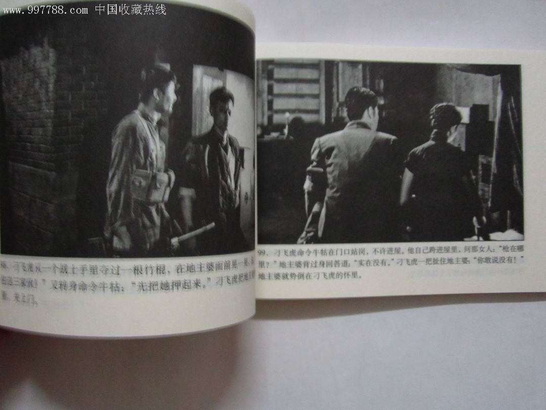 独立大队(百年电影收藏系列)