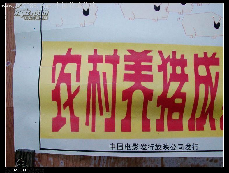 80年代左右《彩色科教片农业技术推广片农村养猪成套技术组片》电影宣传画