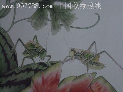 精品工笔画—充满田园风情的虫草西瓜