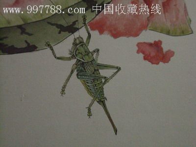 精品工笔画——充满田园风情的虫草西瓜