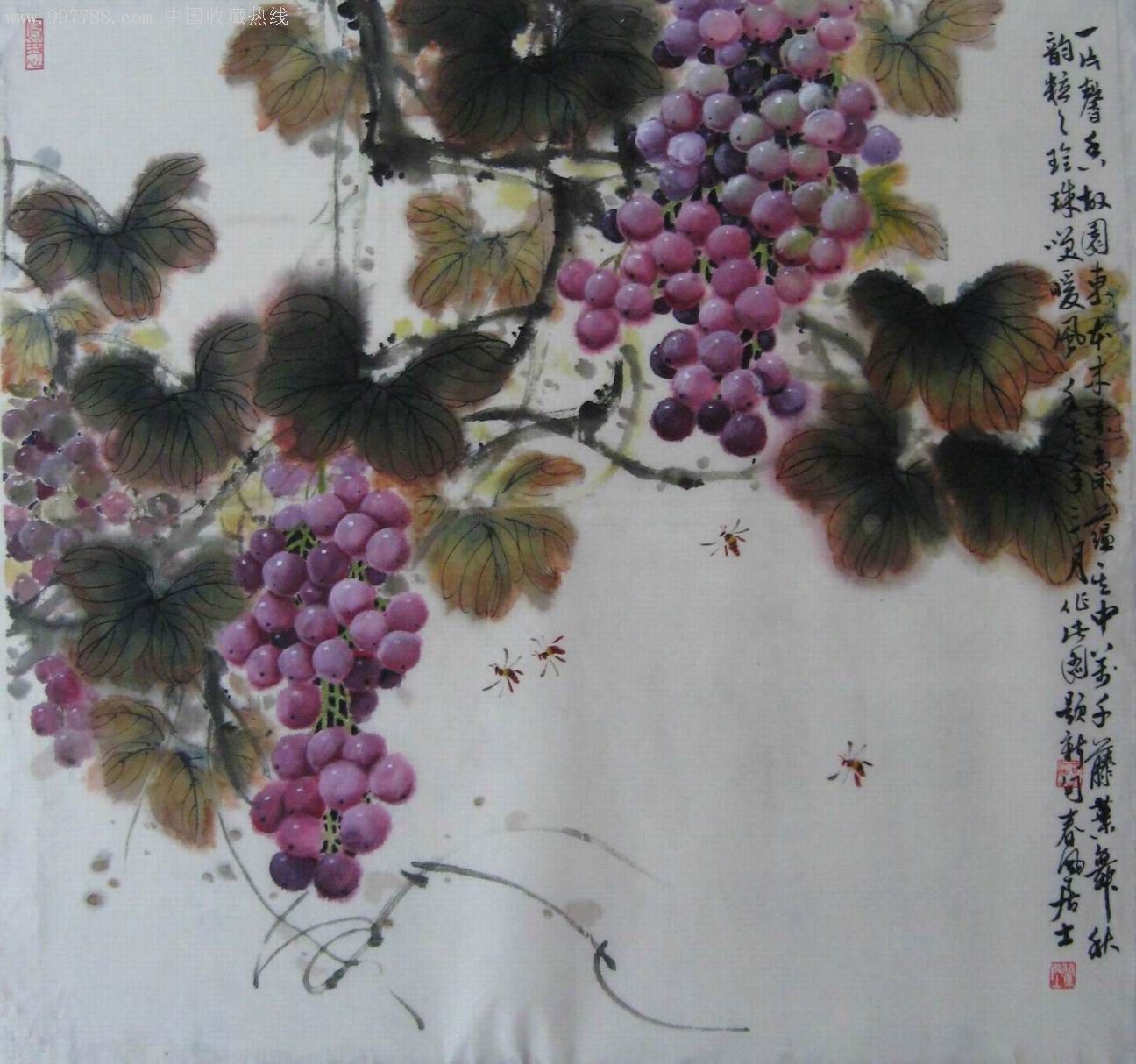 葡萄图