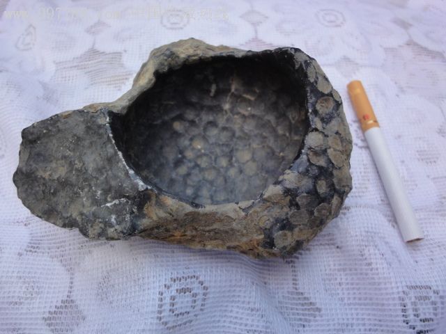 蜂巢珊瑚化石烟灰缸