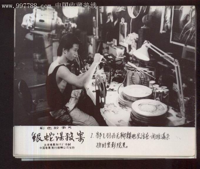 银蛇谋杀案[8张]